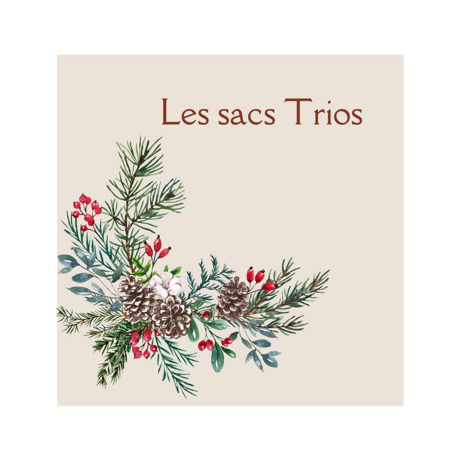 Les sacs Trio